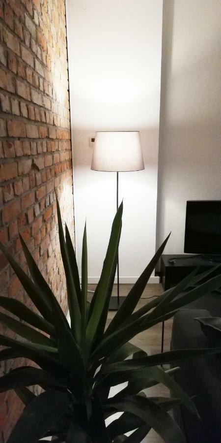 Willow Old Town Apartment 格但斯克 外观 照片